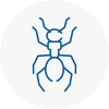 Ant Removals In North Wingfield