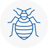 Bed Bug Extermination In North Wingfield