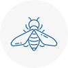 Bee Nest Removal North Wingfield