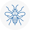 North Wingfield Hornet Nest Removals
