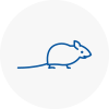 Mice Exterminators In North Wingfield