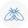 Moth Control Specialists In North Wingfield
