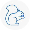 North Wingfield Rodent Removals