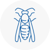 North Wingfield Wasp Nest Removal